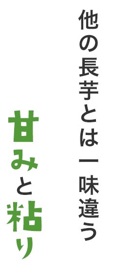 他の長芋とは一味違う甘みと粘り